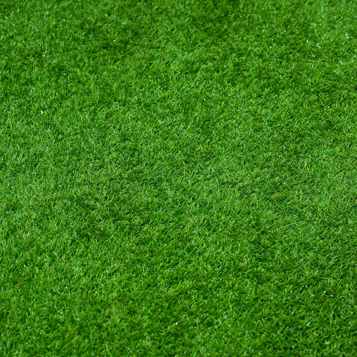 All Seasons Evergreen Grass Seeds | Fast Germination | 🔥Buy 1 Get 2 free🔥 | Price: ₹499