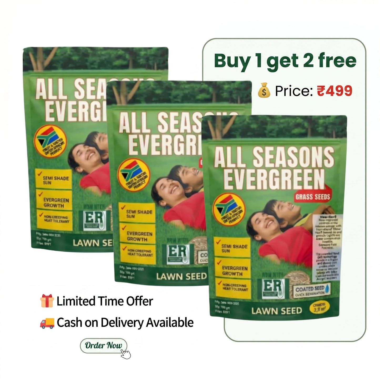 All Seasons Evergreen Grass Seeds | Fast Germination | 🔥Buy 1 Get 2 free🔥 | Price: ₹499