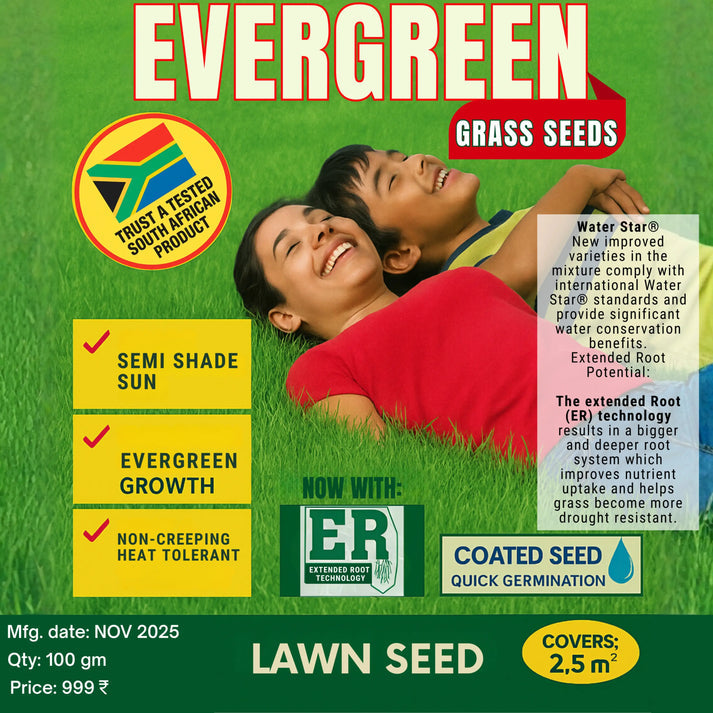 All Seasons Evergreen Grass Seeds | Fast Germination | 🔥Buy 1 Get 2 free🔥 | Price: ₹499