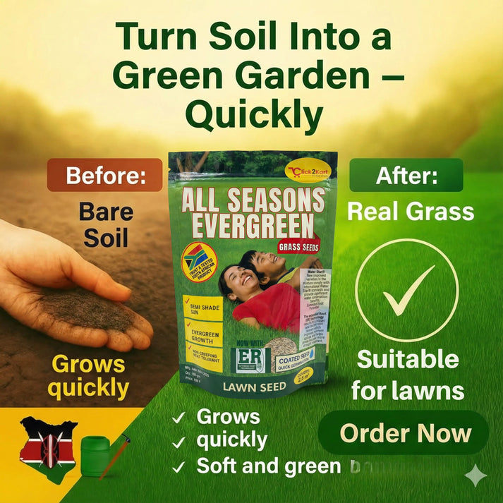 All Seasons Evergreen Grass Seeds | Fast Germination | 🔥Buy 1 Get 2 free🔥 | Price: ₹499