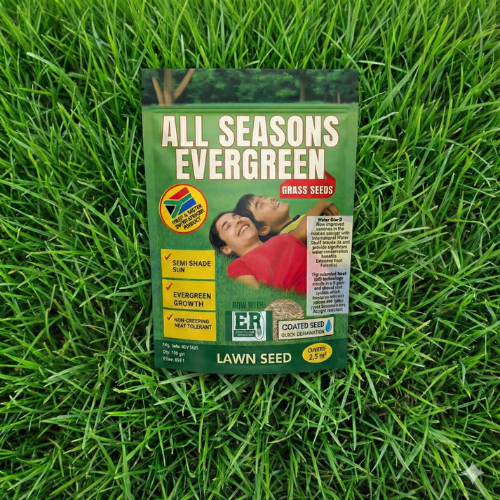 All Seasons Evergreen Grass Seeds | Fast Germination | 🔥Buy 1 Get 2 free🔥 | Price: ₹499